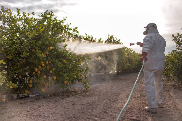 Best Ant Control Services  in Perkasie, PA